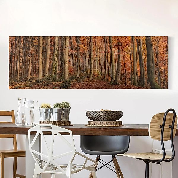 Leinwandbild Wald - Panorama Herbstspaziergang günstig online kaufen