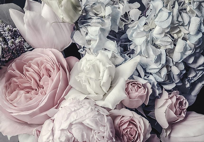 Wallarena Fototapete 254X184 cm - Papier günstig online kaufen