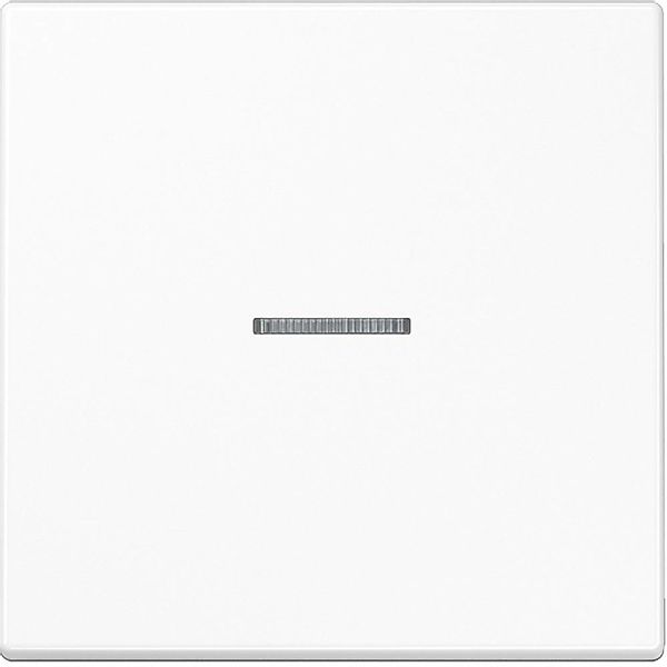 Jung Wippe Lichtleiter aws für Schalter/Taster LS 990 KO5 WW - LS990KO5WW günstig online kaufen