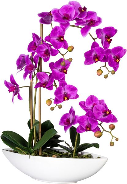 Creativ green Kunstorchidee "Phalaenopsis" im Keramikschiff günstig online kaufen