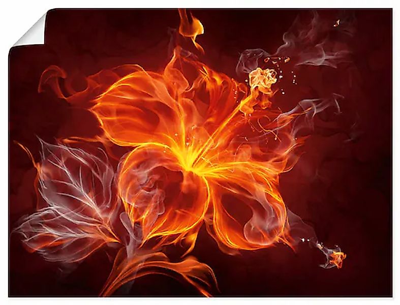 Artland Wandbild »Feuerblume« 1 Stk. tlg. als Leinwandbild, Poster, Wandauf günstig online kaufen