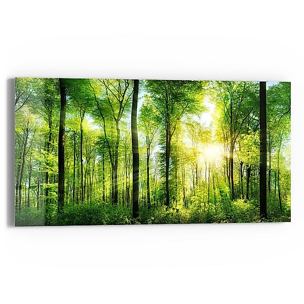 DEQORI Glasbild 'Sonne durchbricht Wald', 'Sonne günstig online kaufen