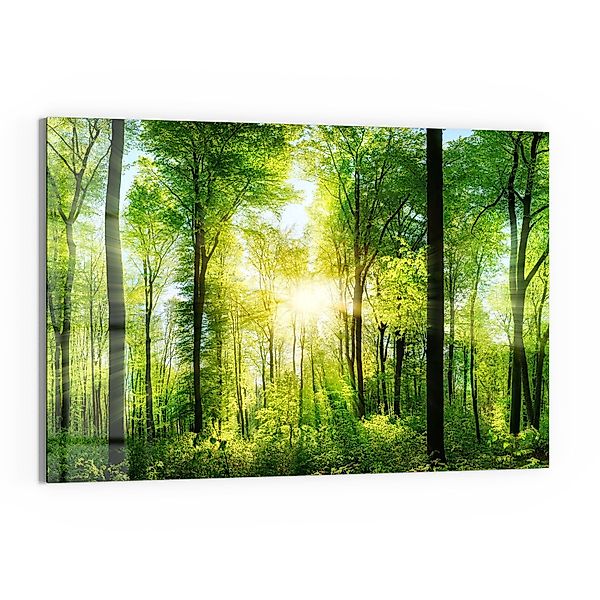 DEQORI Glasbild 'Sonne durchbricht Wald', 'Sonne günstig online kaufen