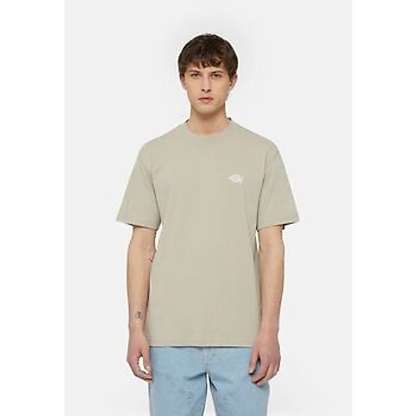 Dickies  T-Shirts & Poloshirts SUMMERDALE SS - DK0A4YA-SS01 SANDSTONE günstig online kaufen