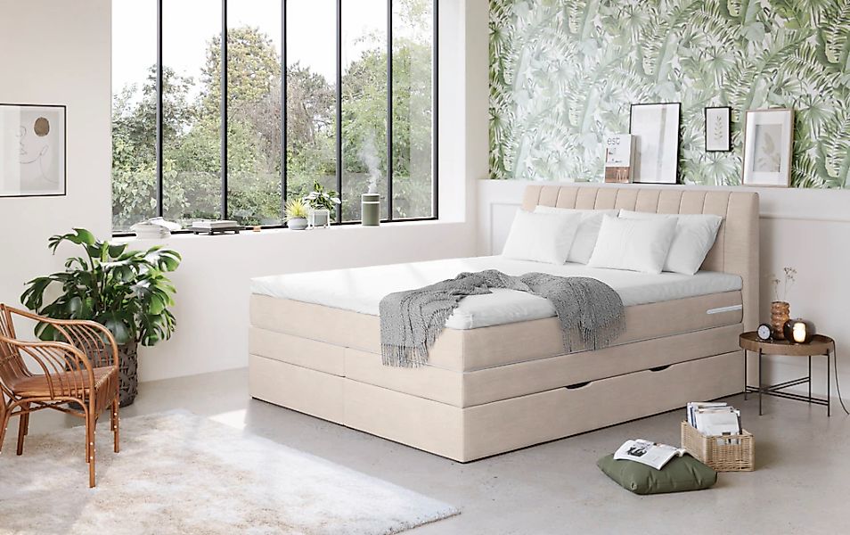 COTTA Boxspringbett "Shark inkl. Bettkasten und Topper", erhältlich in den günstig online kaufen