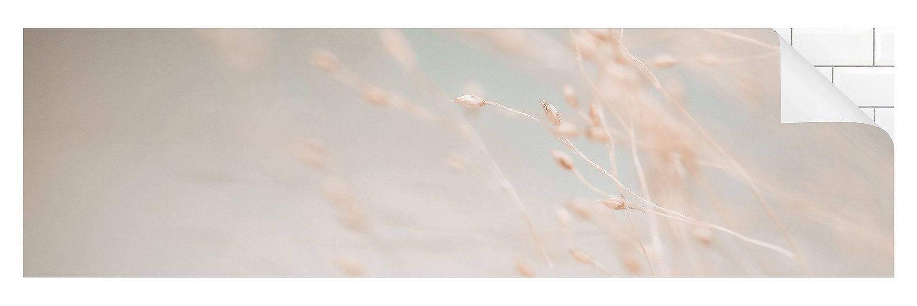 Bilderdepot24 Badrückwand beige fugenlose Wandverkleidung Bad günstig online kaufen