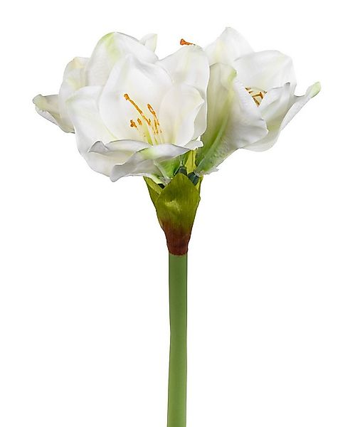 Kunstblume Amaryllis Real Touch DP Dekoblumen künstliche Blumen Ritterstern günstig online kaufen