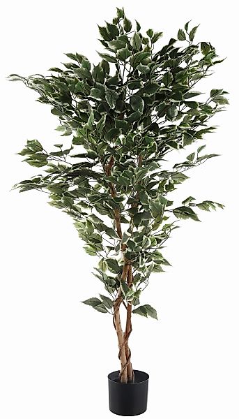 Kunstpflanze Ficus Benjamini Ficus Benjamini, Creativ green, Höhe 150 cm günstig online kaufen