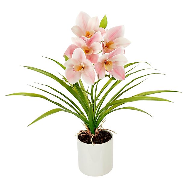 Kunstorchidee Orchidee Phalaenopsis im Topf, I.GE.A., günstig online kaufen