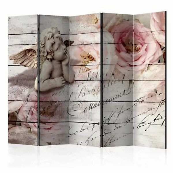 artgeist Paravent Angel and Calm II [Room Dividers] mehrfarbig Gr. 225 x 17 günstig online kaufen