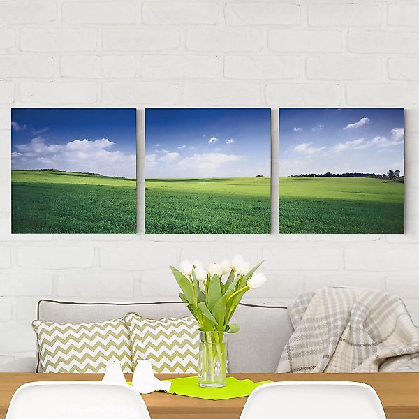 3-teiliges Leinwandbild Natures Peace günstig online kaufen