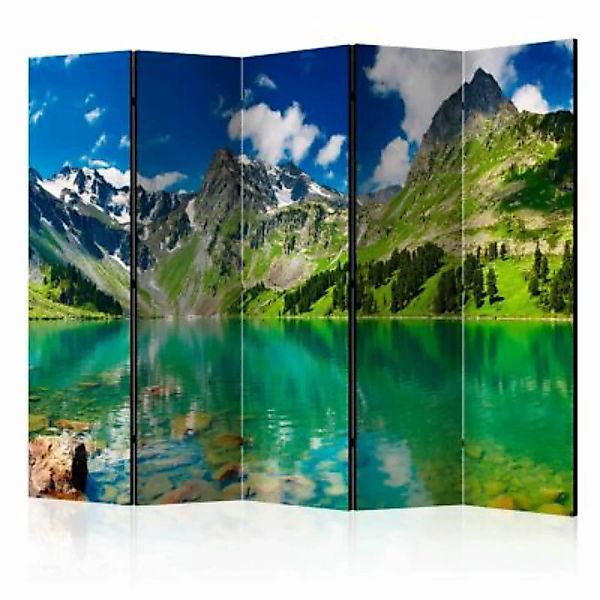 artgeist Paravent Mountain lake II [Room Dividers] mehrfarbig Gr. 225 x 172 günstig online kaufen