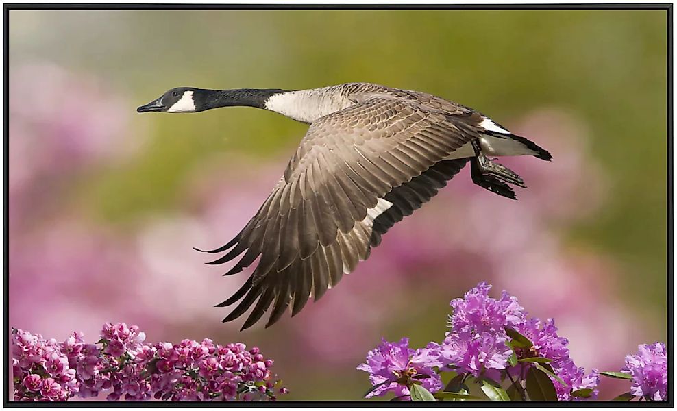 Papermoon Infrarotheizung »Vogel mit Blumen«, sehr angenehme Strahlungswärm günstig online kaufen