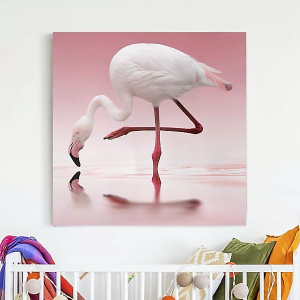 Leinwandbild Tiere - Quadrat Flamingo Dance günstig online kaufen