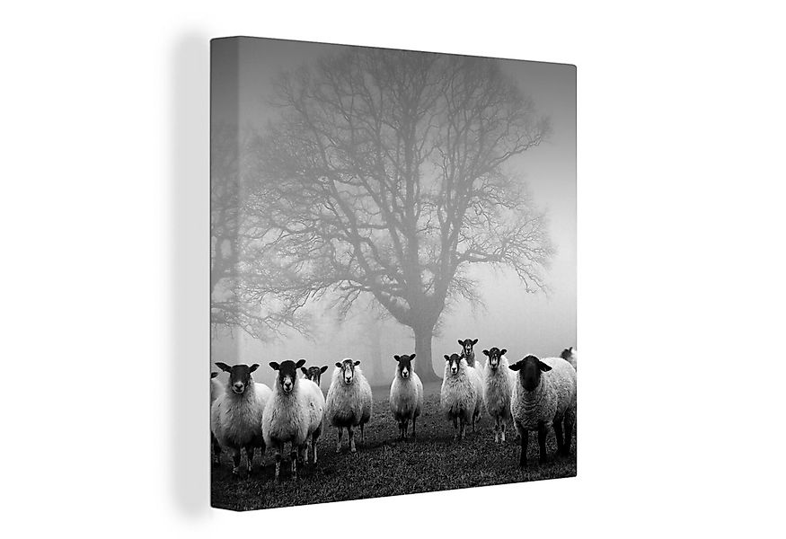 OneMillionCanvasses® Leinwandbild Schafherde im Nebel - schwarz und weiß, ( günstig online kaufen