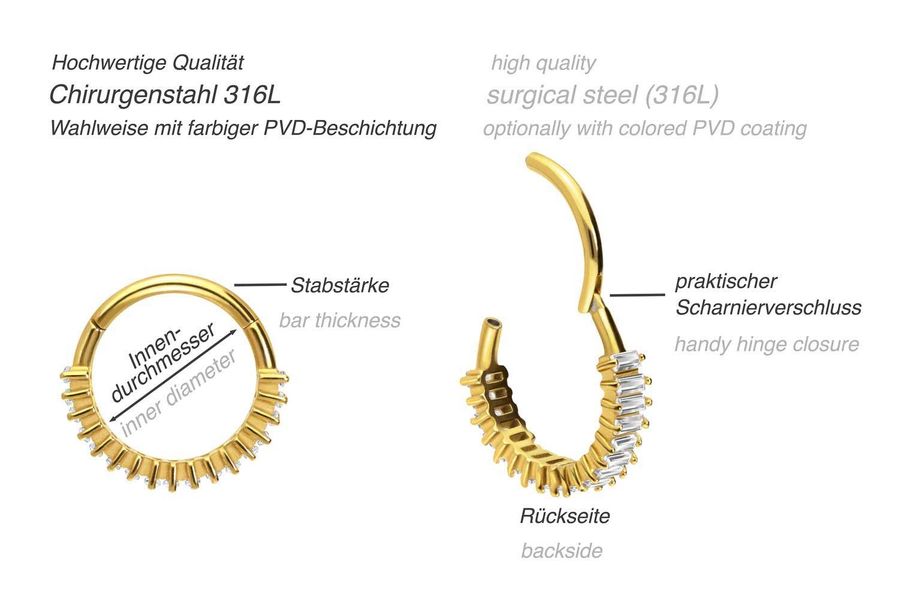 PIERCINGLINE Nasenpiercing Chirurgenstahl Segmentring Clicker EINGEFASSTE günstig online kaufen
