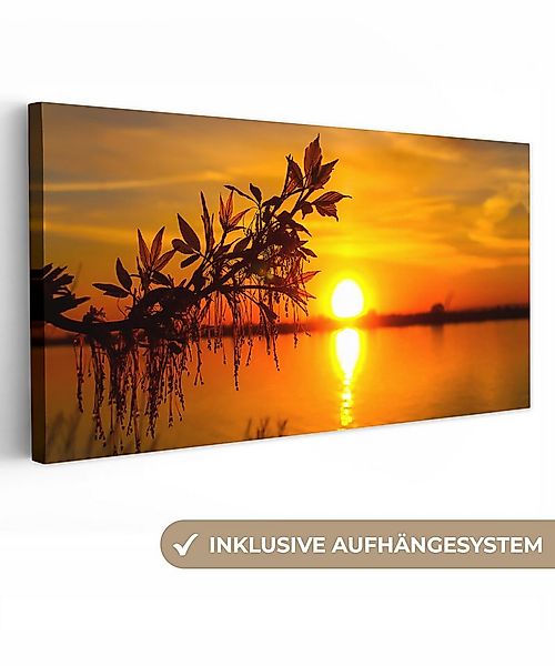 OneMillionCanvasses® Leinwandbild Panorama Sonnenuntergang - Wasser - Pflan günstig online kaufen