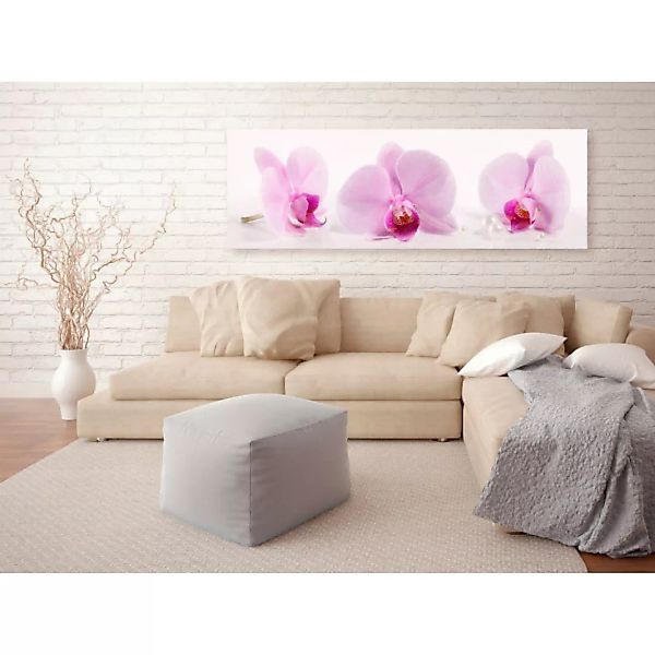 Wandbild Three Orchids XXL günstig online kaufen