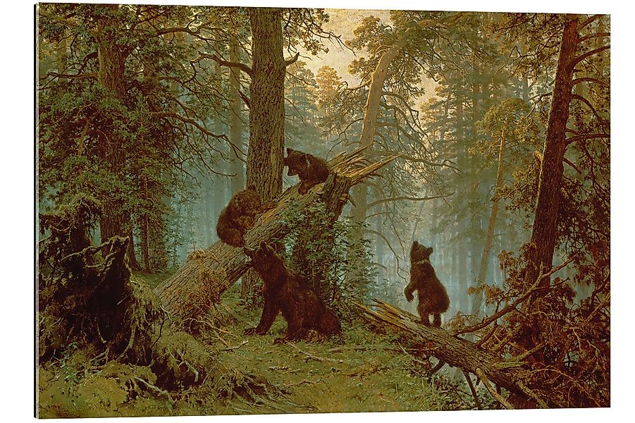 Posterlounge Wandbild Morgen in einem Kiefernwald, günstig online kaufen