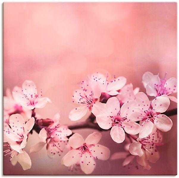 Artland Wandbild »Kirschblüten« 1 Stk. tlg. als Alubild, Outdoorbild, Leinw günstig online kaufen