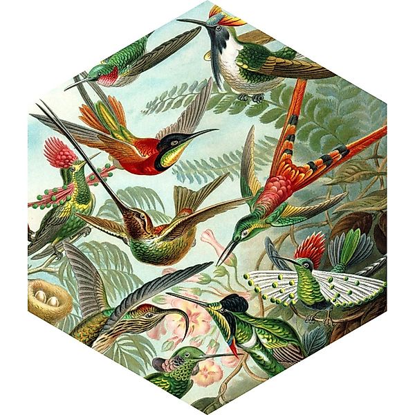 ESTAhome Wandtattoo Vögel Dschungelgrün 140 x 161 cm 159023 günstig online kaufen