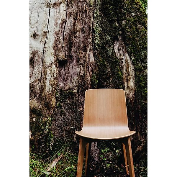 Lottus Wood Stuhl mit Holzsitzschale günstig online kaufen