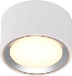 LED Aufbauleuchte Fallon weiß Ring in Stahl-gebürstet 100 mm günstig online kaufen