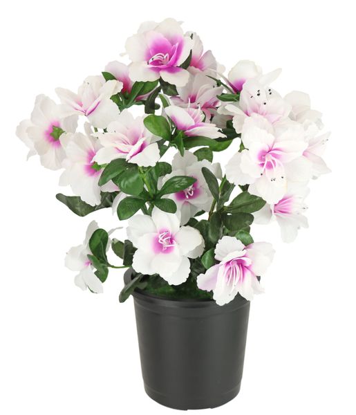 I.GE.A. Kunstblume "Kunstblume Azaleen im Topf" Blume Kunstpflanze Blumende günstig online kaufen