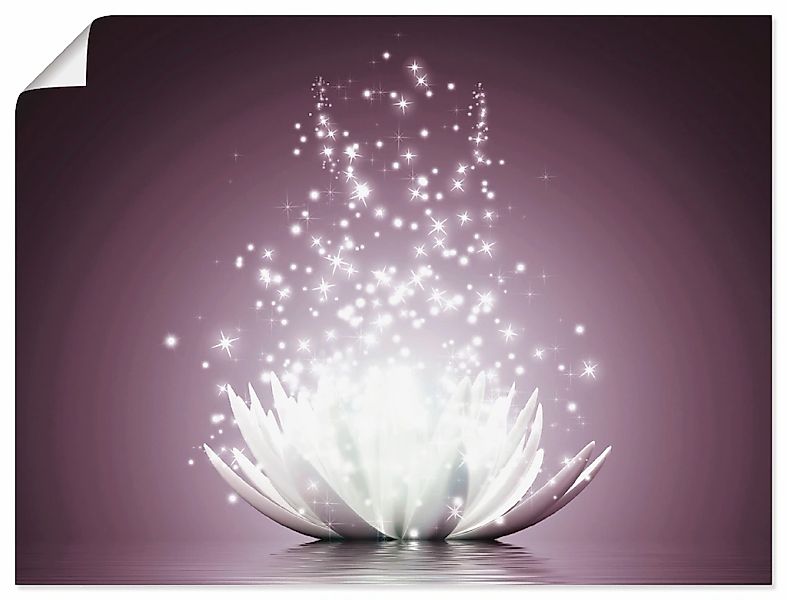 Artland Wandbild "Magie der Lotus-Blume" Blumen 1 tlg. günstig online kaufen