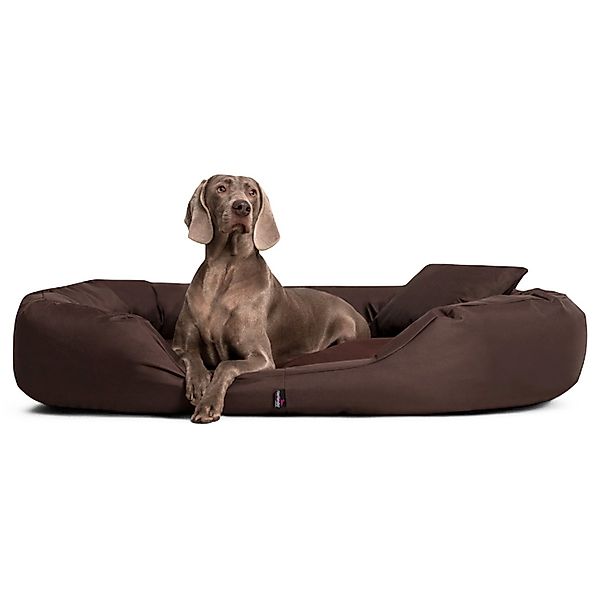 tierlando® Tierbett Orthopädisches Hundebett SAMMY, Robuster günstig online kaufen
