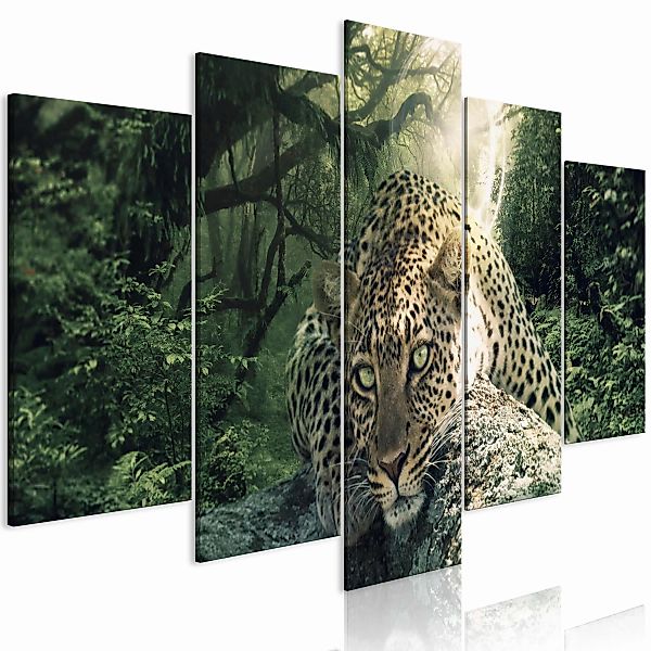 Wandbild - Leopard Lying (5 Parts) Wide Pale Green günstig online kaufen