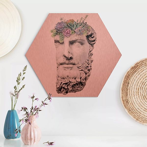 Hexagon-Alu-Dibond Bild Blumen Kopf mit Sukkulenten günstig online kaufen