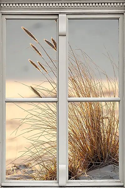 queence Leinwandbild »Düne«, Düne-Gräser-Natur-Fensterblick, (1 St.), Premi günstig online kaufen