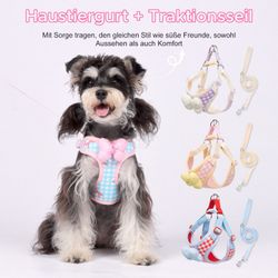 Refttenw Hunde-Geschirr Hundegeschirr mit Hundeleine Kleine günstig online kaufen