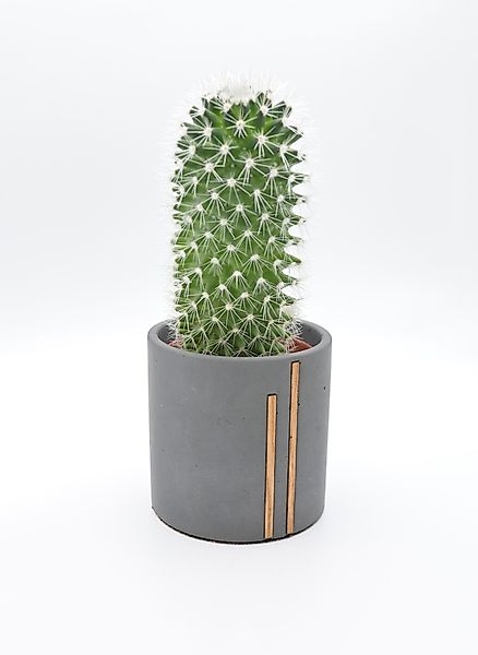 Bannik Blumentopf aus Beton und Holz, günstig online kaufen