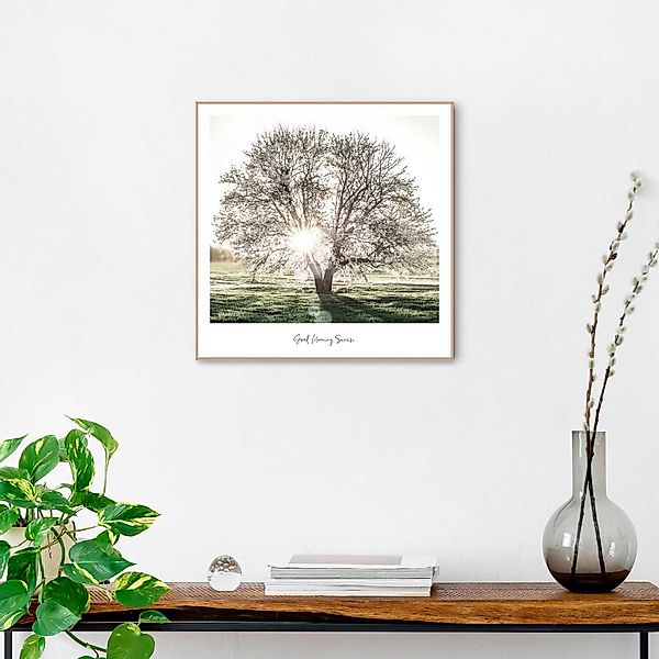 Reinders! Poster Morgensonne günstig online kaufen