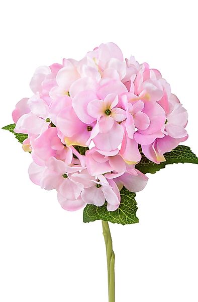 Kunstblume, formano, Höhe 34 cm, Farbe: günstig online kaufen