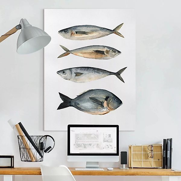 Leinwandbild Botanik - Hochformat Vier Fische in Aquarell I günstig online kaufen