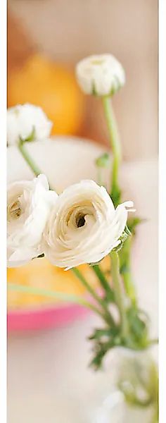 Architects Paper Fototapete »White Buttercup«, Blumen Tapete Natur Fototape günstig online kaufen