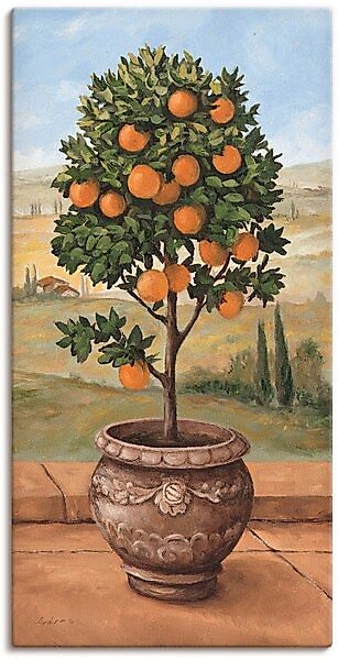 Artland Wandbild »Orangenbaum«, Bäume, (1 St.), als Leinwandbild, Wandaufkl günstig online kaufen