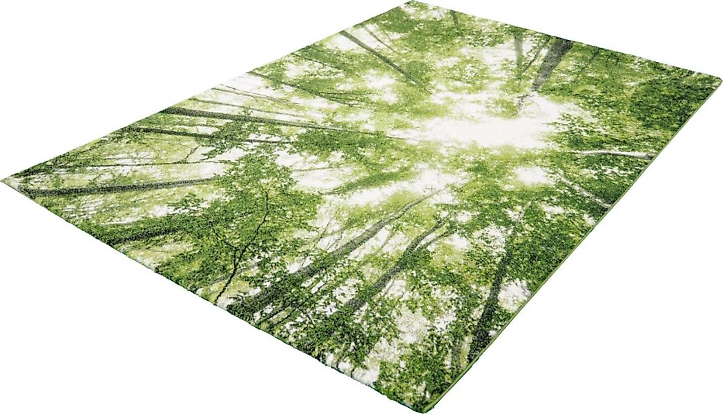merinos Teppich »BELIS BÄUME«, rechteckig, Kurzflorteppich, Natur Wald Moti günstig online kaufen