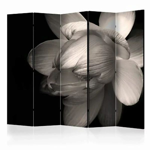 artgeist Paravent Lotus flower II [Room Dividers] schwarz/weiß Gr. 225 x 17 günstig online kaufen