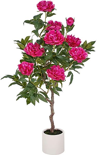 Creativ green Kunstpflanze "Peonie", im eleganten Topf günstig online kaufen