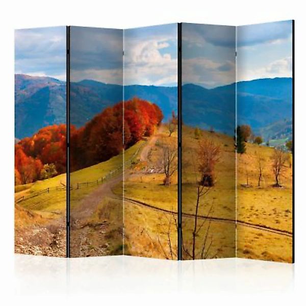 artgeist Paravent Autumn landscape in the Carpathian mountains II [Room Div günstig online kaufen