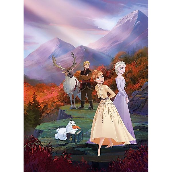 Disney Fototapete Die Eiskönigin Multicolor 184 x 254 cm 611071 günstig online kaufen