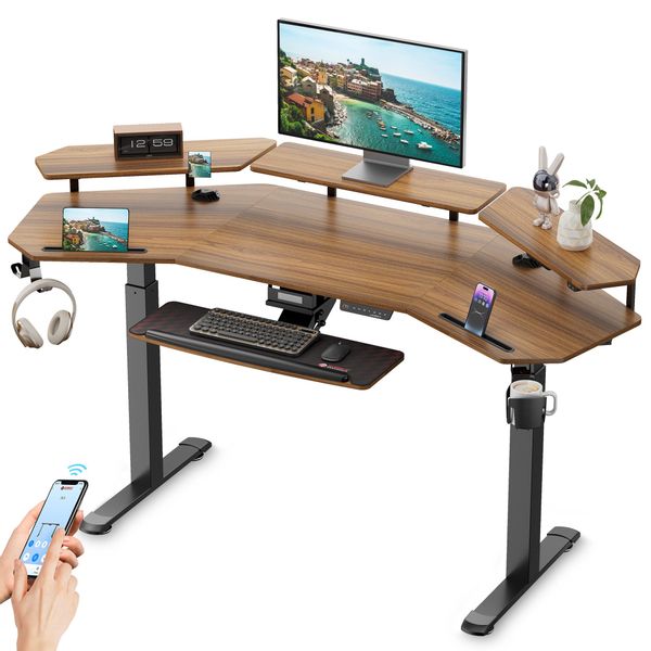 EE EUREKA ERGONOMIC Schreibtisch Elektrischer Großer günstig online kaufen