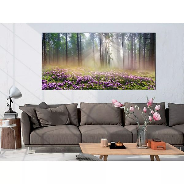 Wandbild Purple Meadow (1 Part) Wide XXL günstig online kaufen