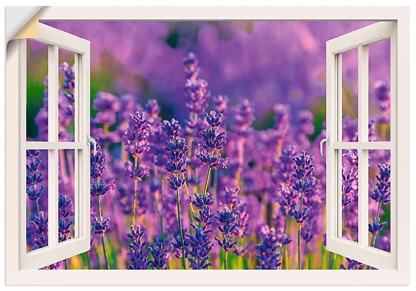 Artland Wandbild "Fensterblick Lavendelfeld in Tihany", Blumenwiese, (1 St. günstig online kaufen