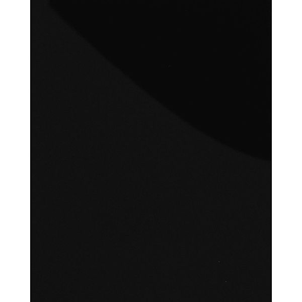 WALLFACE 15423 DECO MAGIC Wandpaneel Design Wandverkleidung Schwarz 2600 mm günstig online kaufen