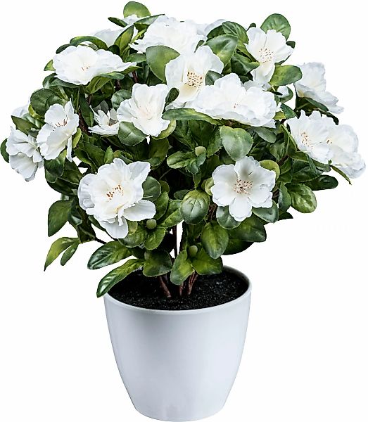 Kunstblume Azaleenbusch Azalee, Creativ green, Höhe 32 cm günstig online kaufen